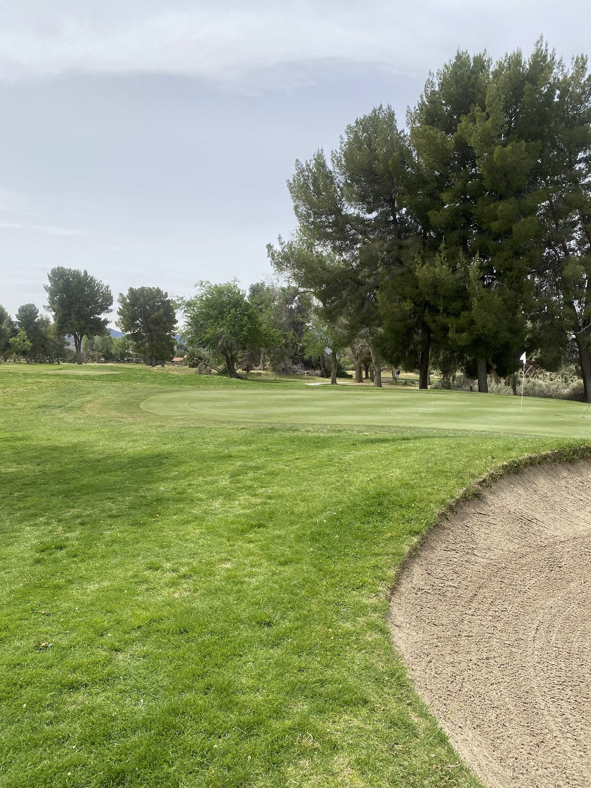 William P. Bell Sculpted Greenside Bunker and Flagstick