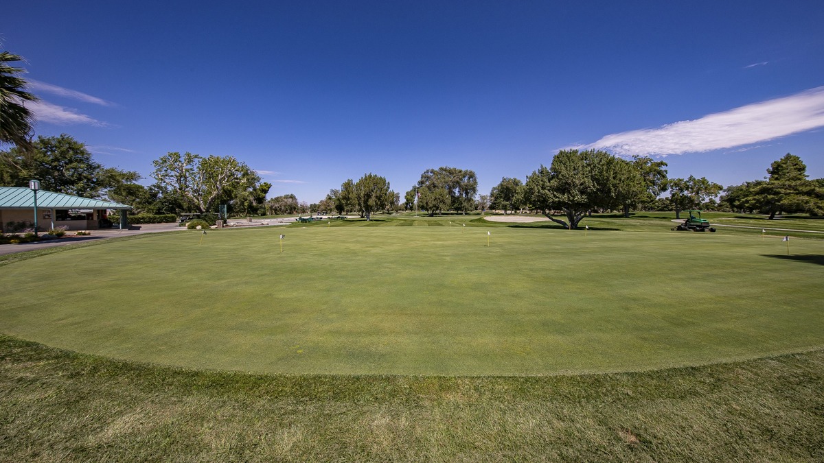 Practice Putting Greens and Bunkers at AVCC